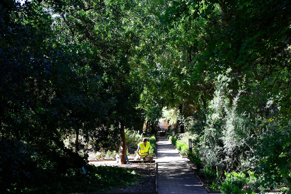 botanico-cordoba52