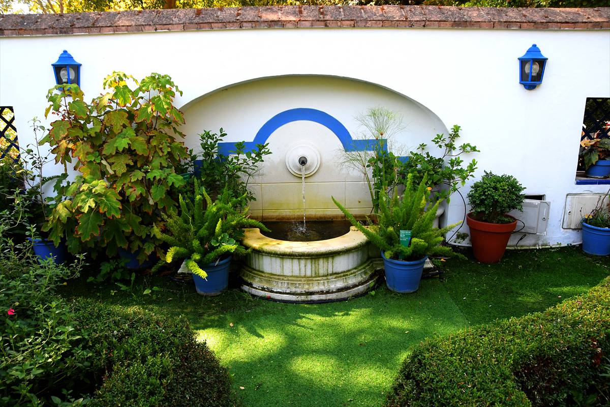 botanico-cordoba83