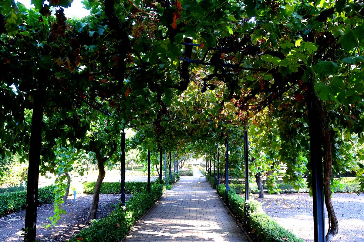 botanico-cordoba94