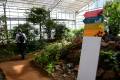 botanico-cordoba100