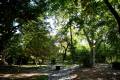 botanico-cordoba110