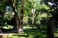 botanico-cordoba26