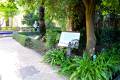 botanico-cordoba3