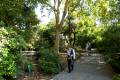 botanico-cordoba32