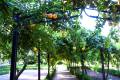 botanico-cordoba38