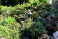 botanico-cordoba39