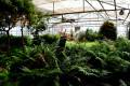 botanico-cordoba47