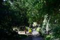 botanico-cordoba52