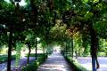 botanico-cordoba94