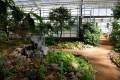 botanico-cordoba96