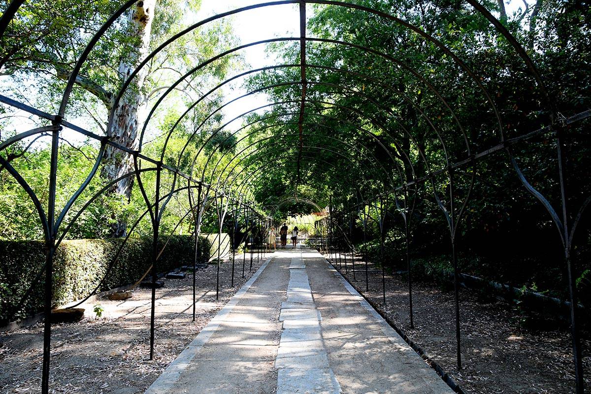 jardin-botanico-madrid-02