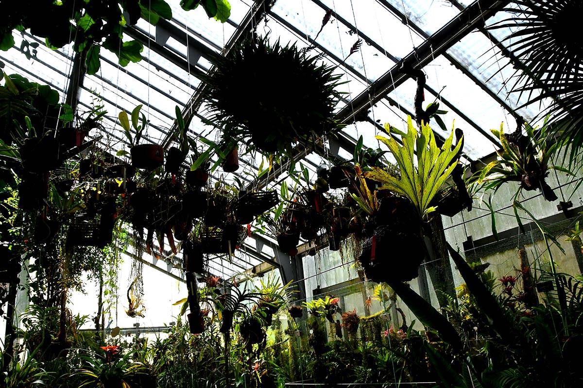 jardin-botanico-madrid-11
