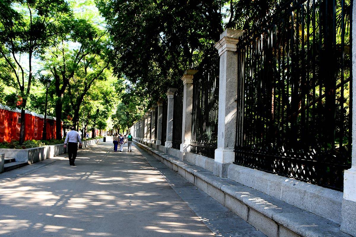 jardin-botanico-madrid-17