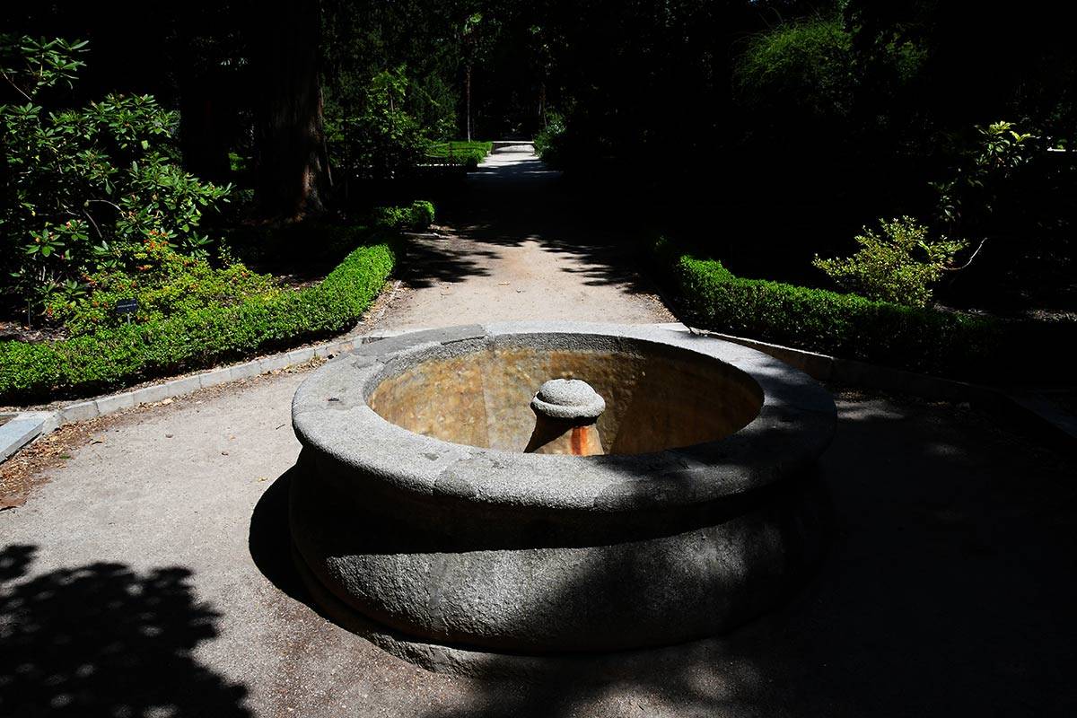 jardin-botanico-madrid-25
