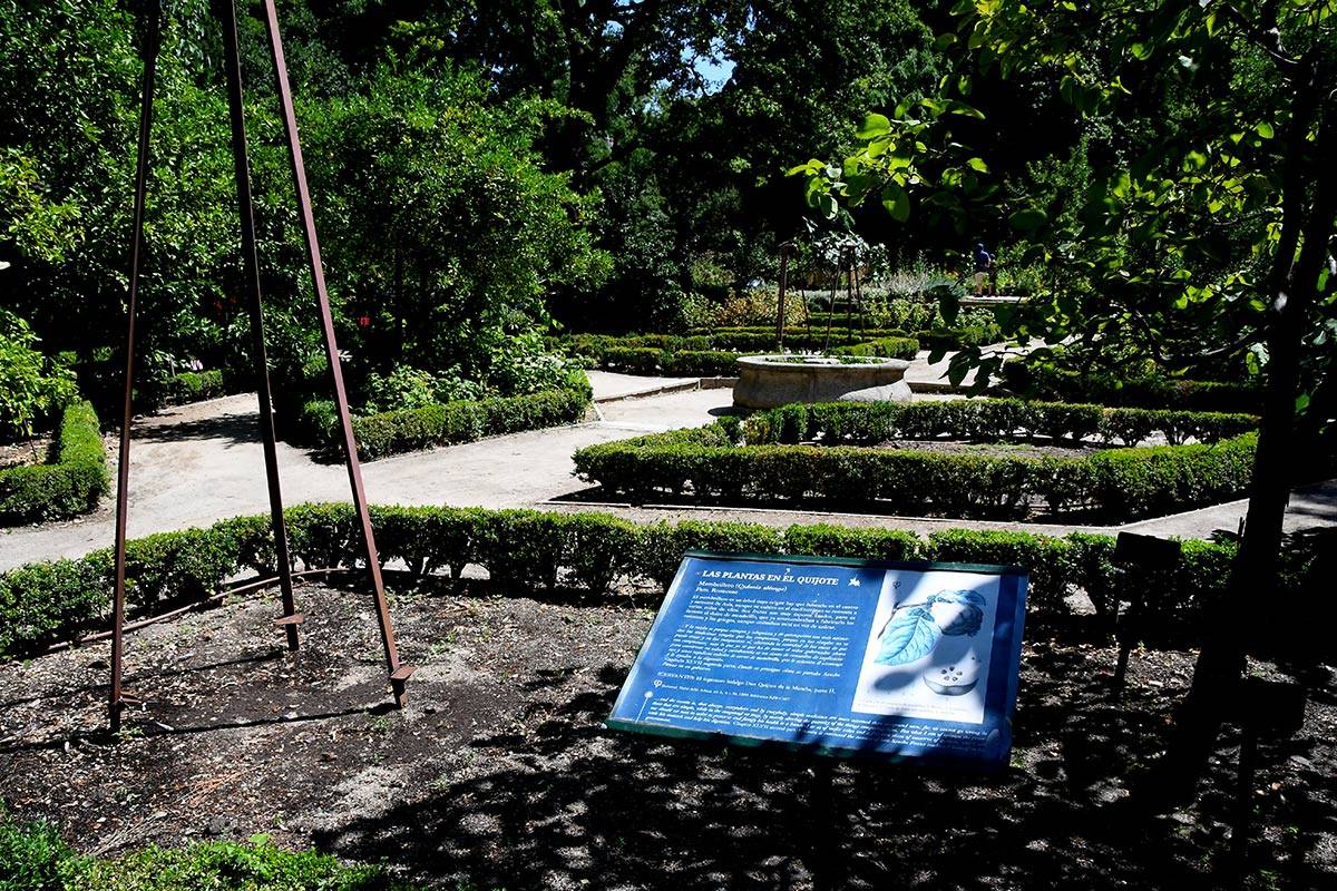 jardin-botanico-madrid-27