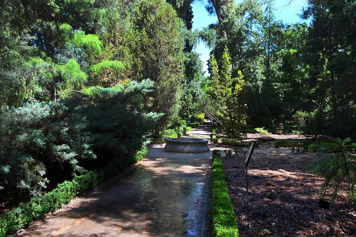 jardin-botanico-madrid-34