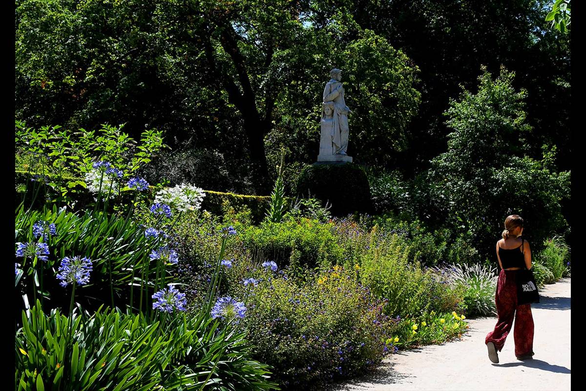 Jardín Botánico, Madrid. Foto: J. E. Gómez * Waste Magazine