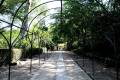 jardin-botanico-madrid-02