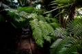 jardin-botanico-madrid-05