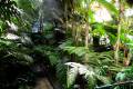 jardin-botanico-madrid-08