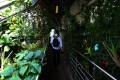 jardin-botanico-madrid-09
