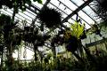 jardin-botanico-madrid-11
