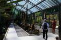 jardin-botanico-madrid-13