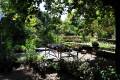 jardin-botanico-madrid-14