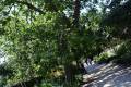 jardin-botanico-madrid-15