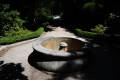 jardin-botanico-madrid-25