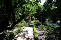 jardin-botanico-madrid-26