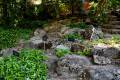 jardin-botanico-madrid-31