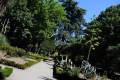 jardin-botanico-madrid-32