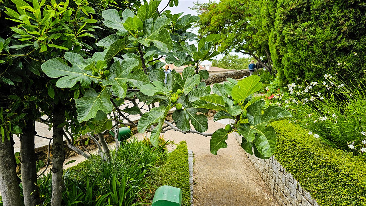 jardin-huerto-calixto-melibea-18
