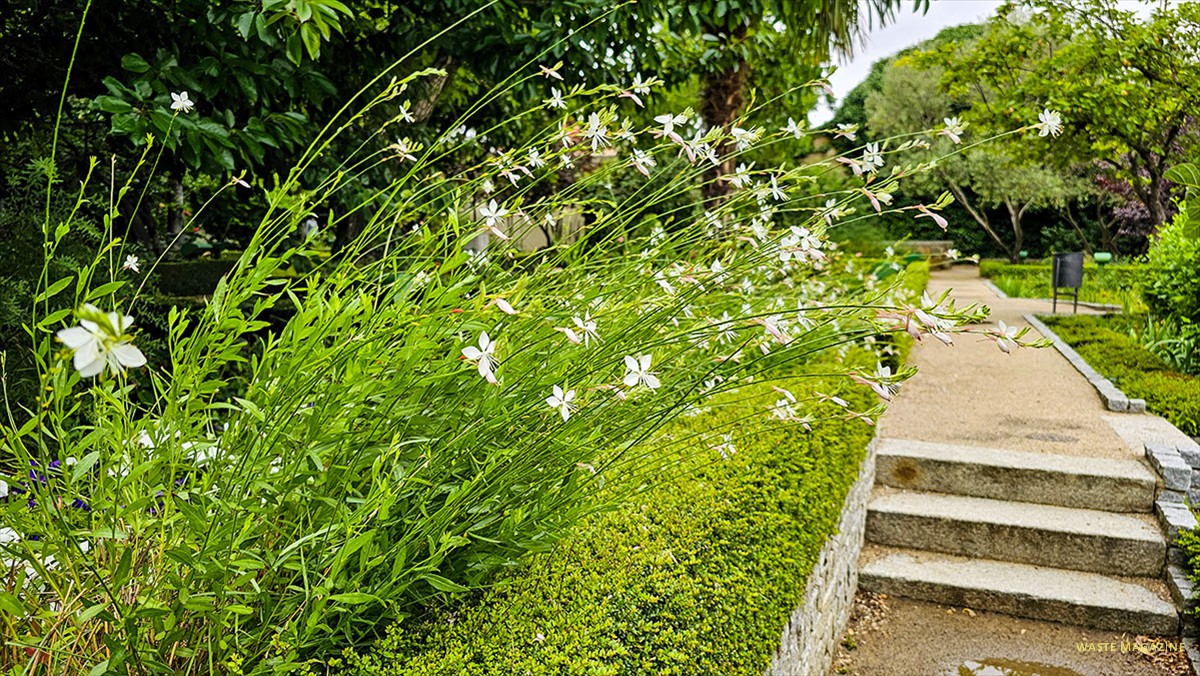 jardin-huerto-calixto-melibea-19