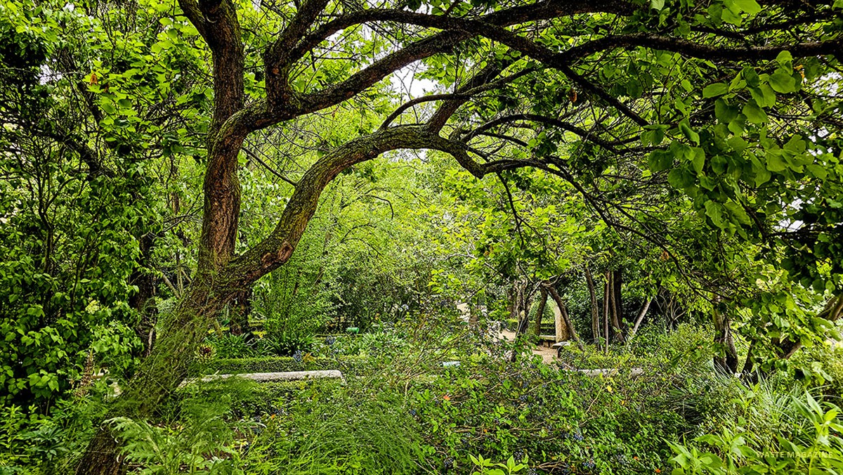 jardin-huerto-calixto-melibea-21