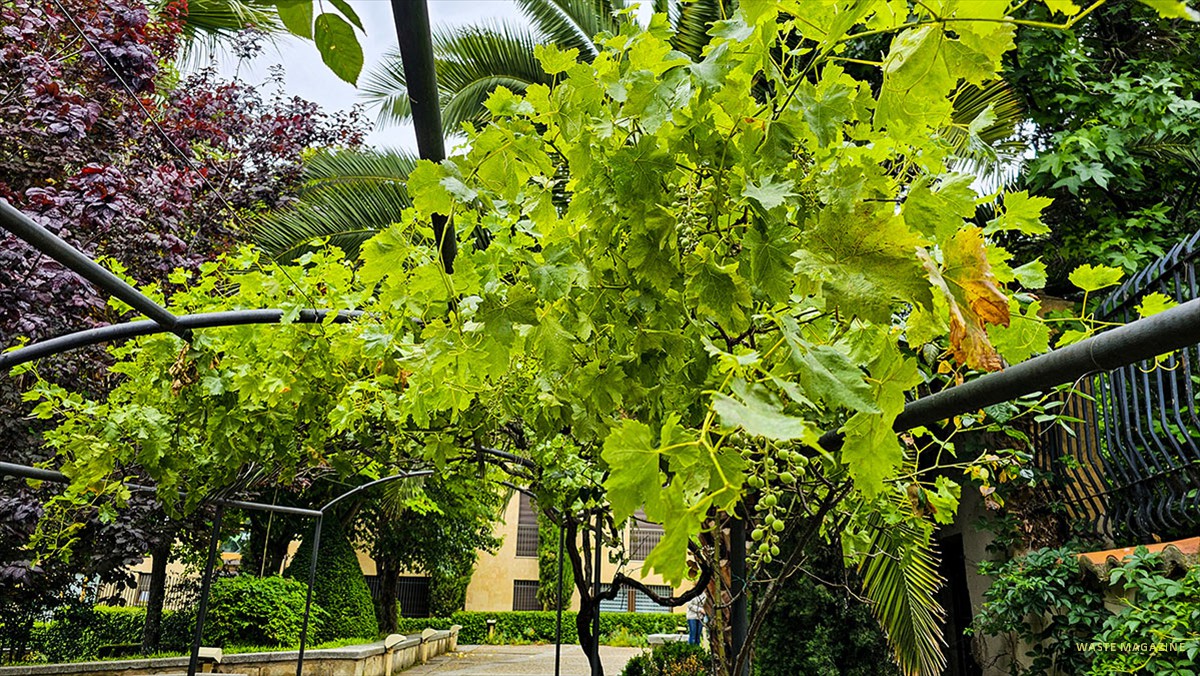 jardin-huerto-calixto-melibea-51