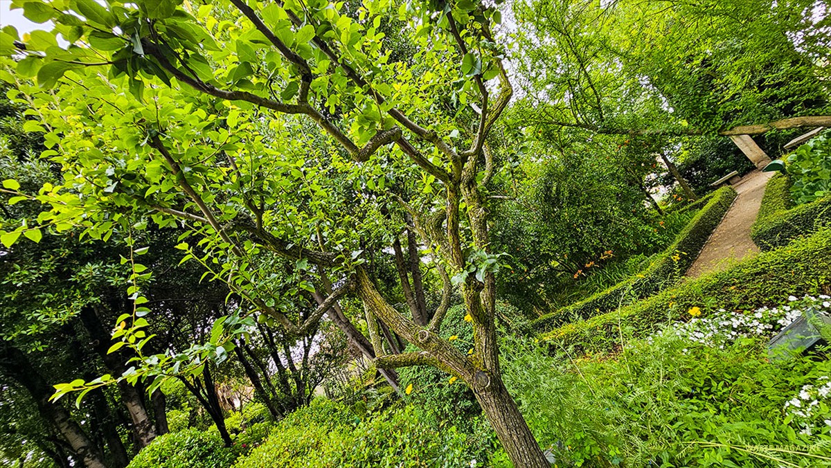 jardin-huerto-calixto-melibea-58