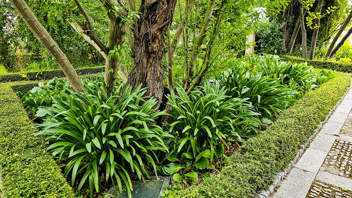 jardin-huerto-calixto-melibea-67