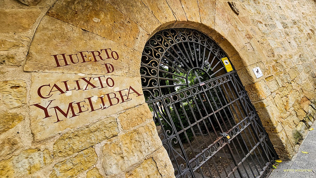 jardin-huerto-calixto-melibea-72