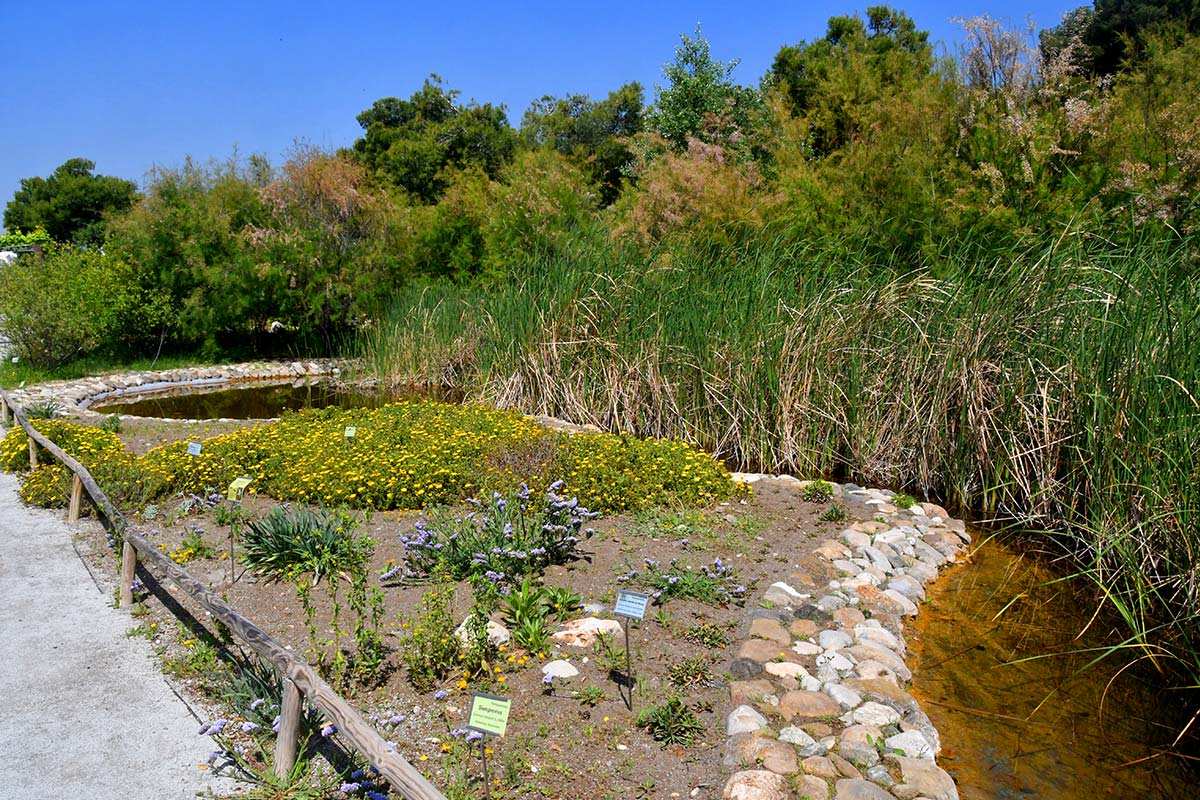 Humedal Jardín Botánico Detunda