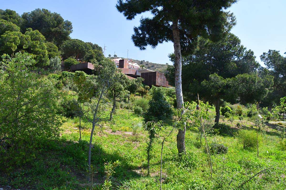 Jardín Botánico Detunda