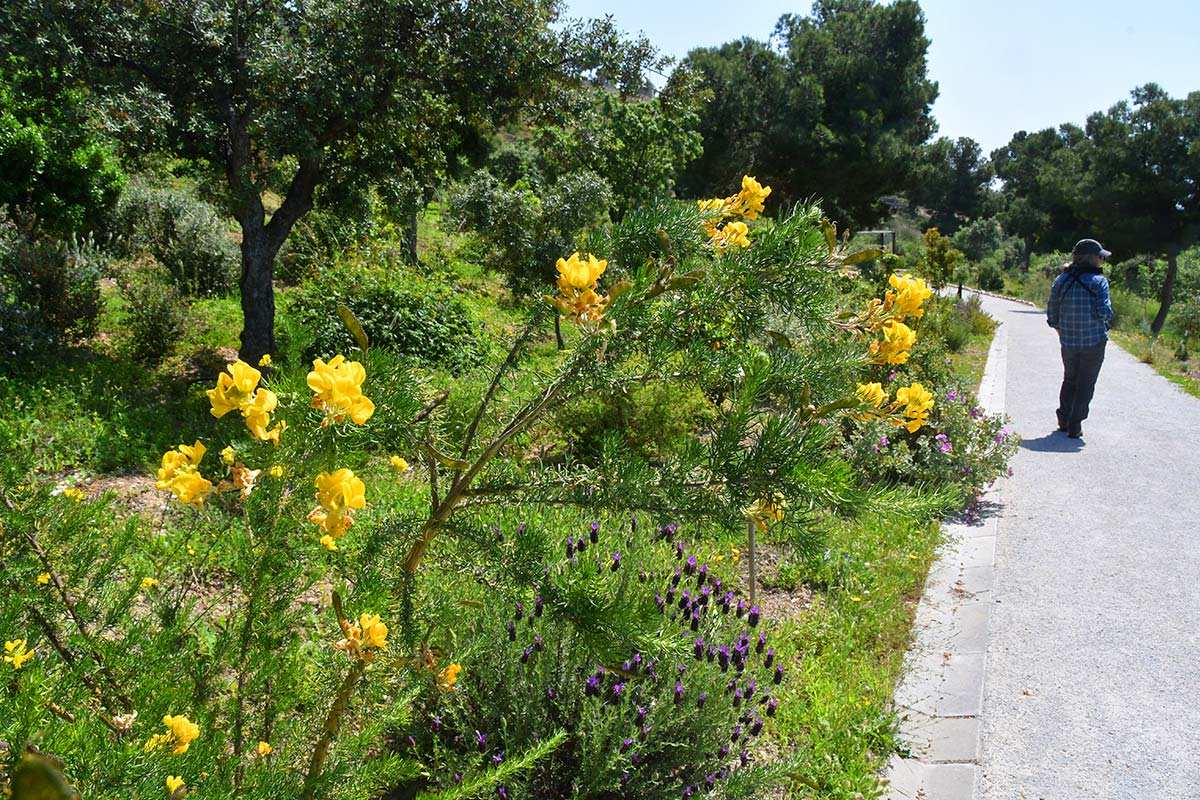 Jardín Botánico Detunda