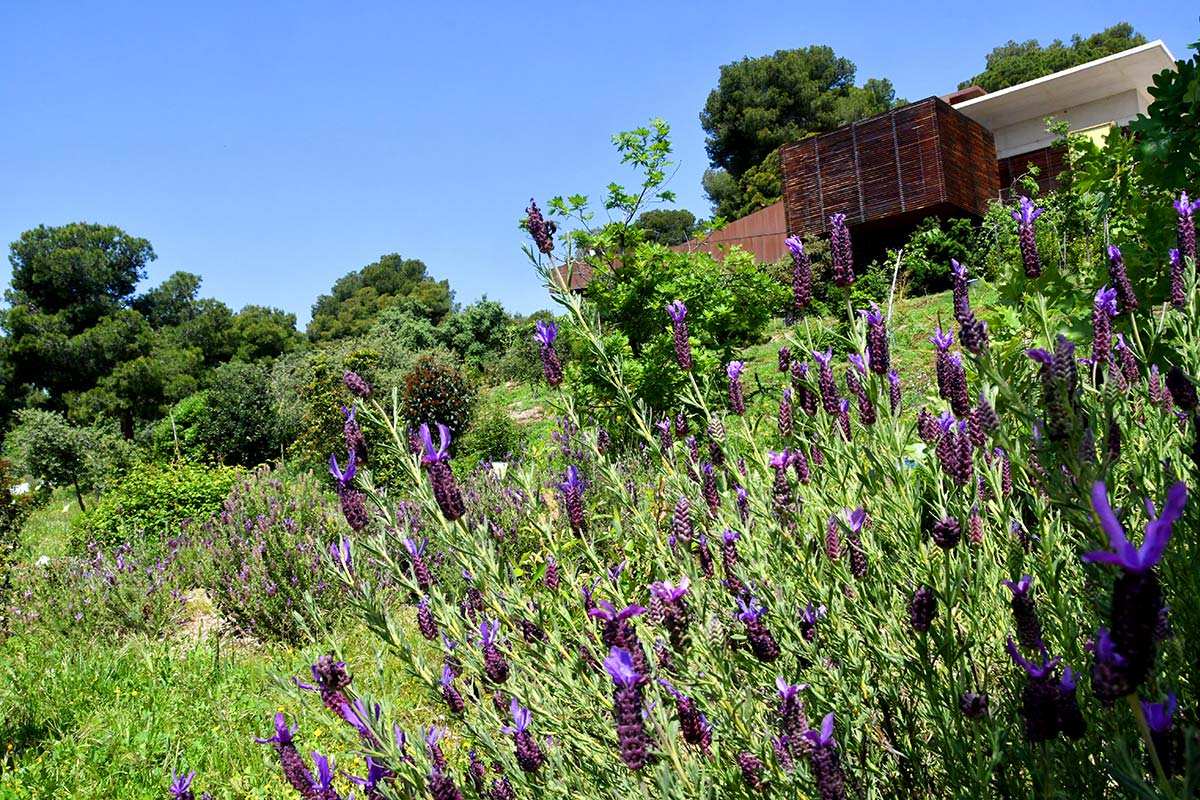 Jardín Botánico Detunda