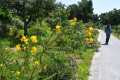 Jardín Botánico Detunda