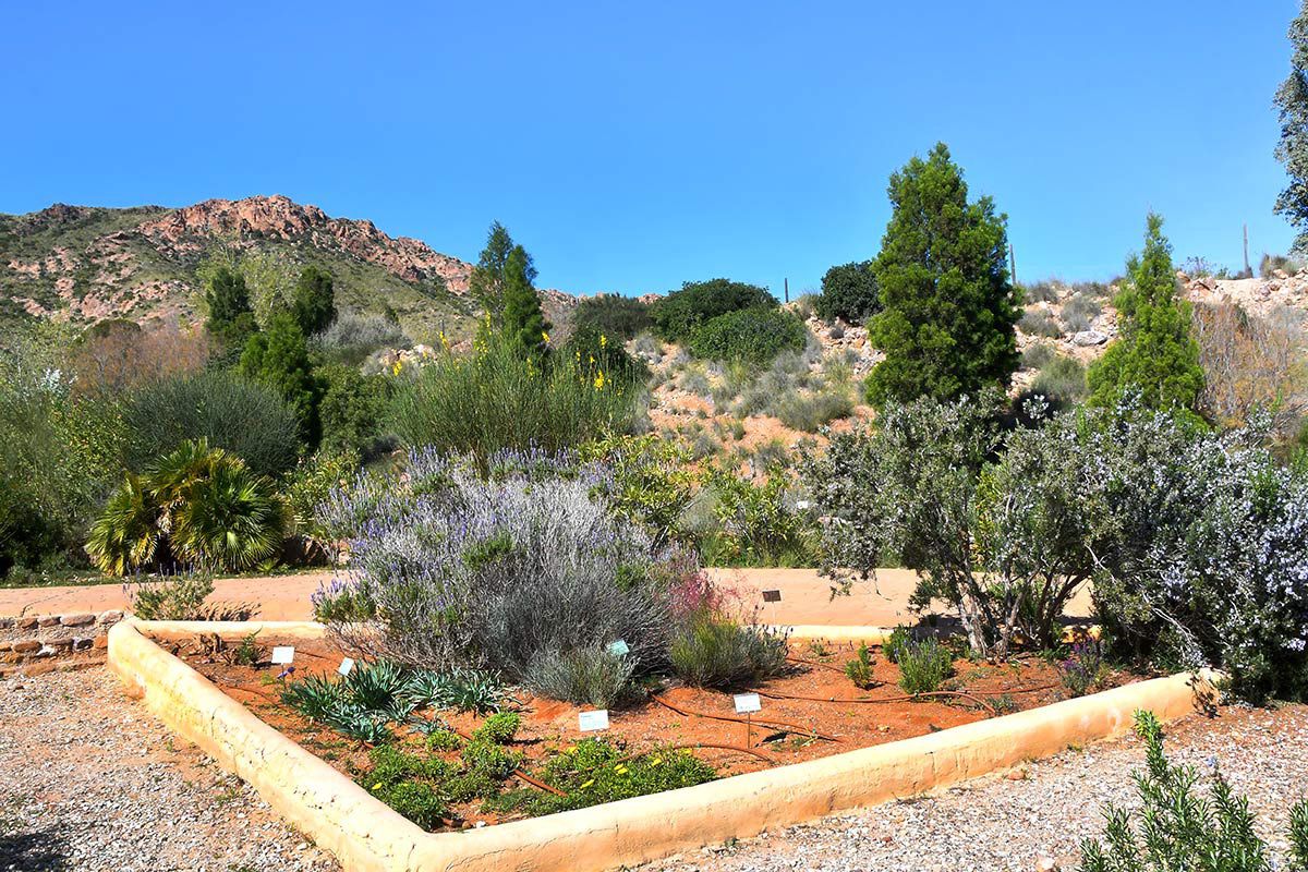 Jardin_Botanico_Albardinar-05