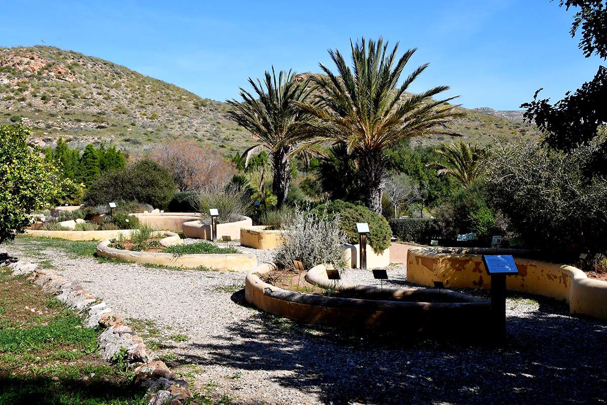 Jardin_Botanico_Albardinar-24