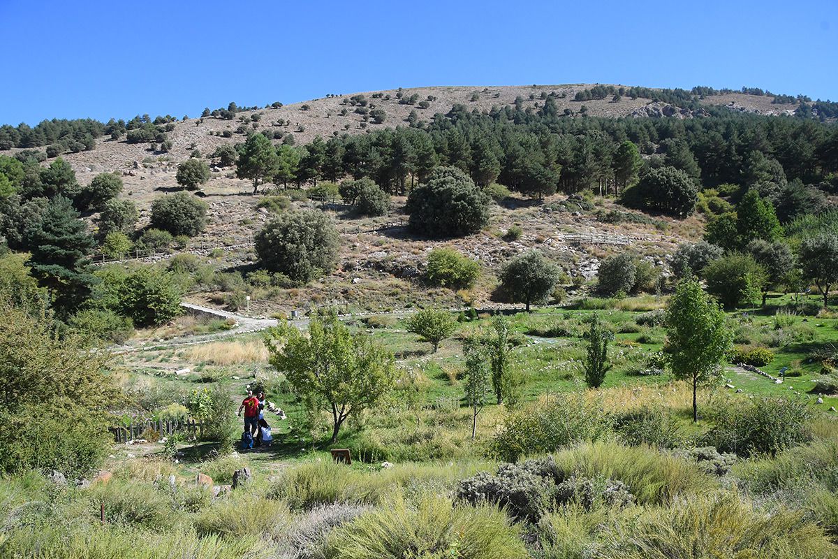 Jardin-Hoya-de-Pedraza-2022-26