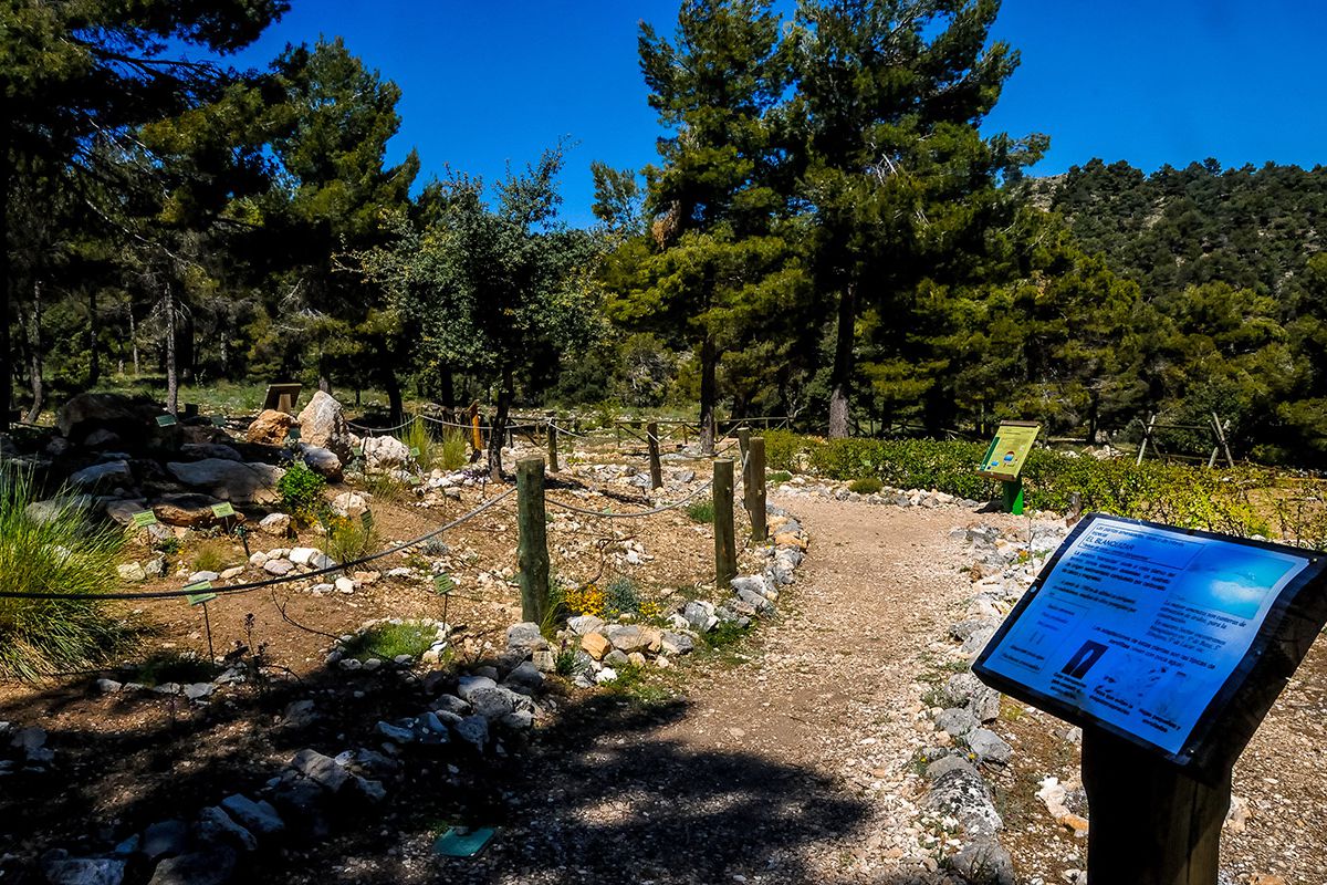 jardin-maria4