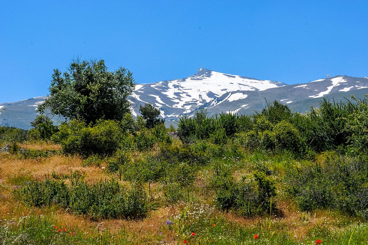 sierranevada2010